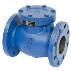 Pegler Check valve swing type (2x flange)